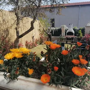 Alexis House Piombino